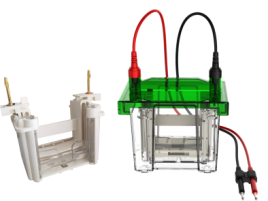 PG Mini01预制胶电泳槽