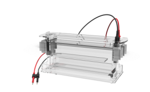 SczO4A+高通量垂直电泳槽
