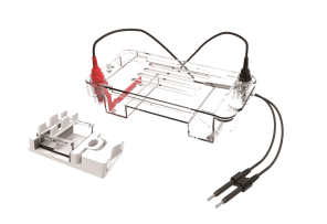 Sub01琼脂糖水平电泳槽