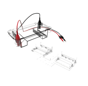 Sub02琼脂糖水平电泳槽