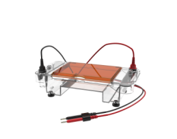 Sub03琼脂糖水平电泳槽