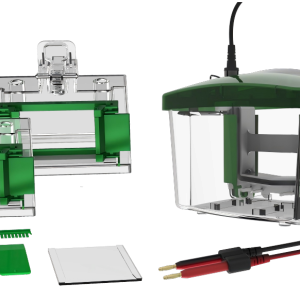 Mini02双板垂直电泳槽