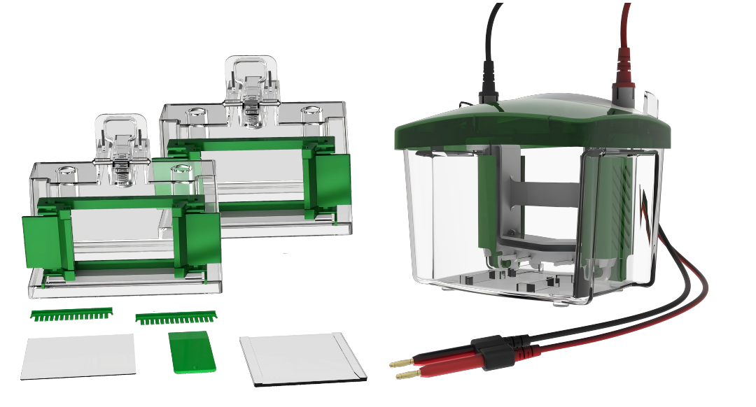 Mini02双板垂直电泳槽