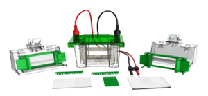 Mini01双板垂直电泳槽