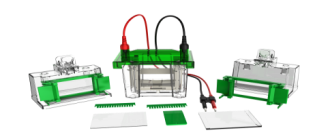 Mini01双板垂直电泳槽